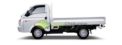 Hyundai H100